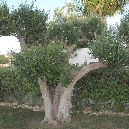 Oasi Tortuga Appartamento Mazara del Vallo Esterno foto