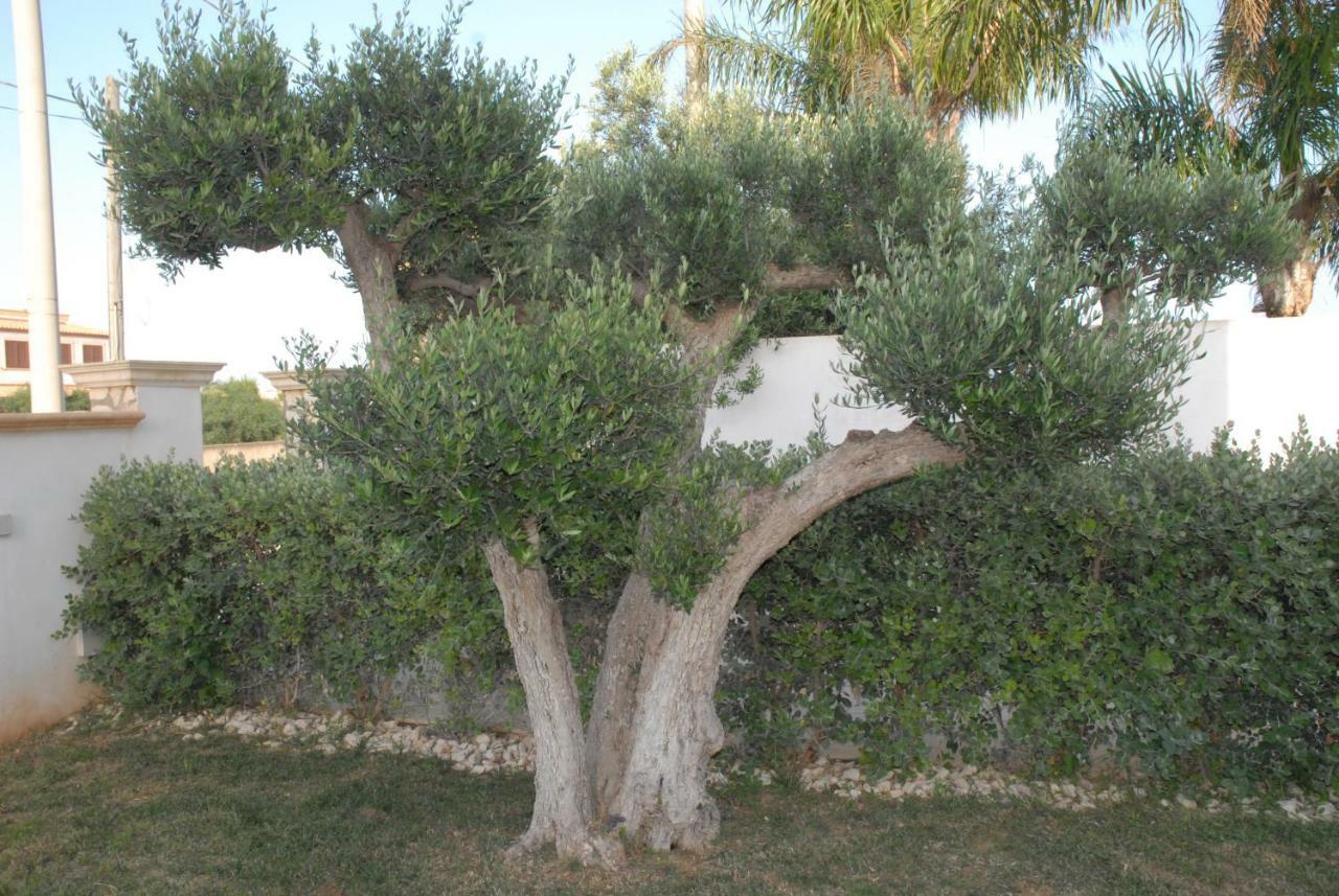 Oasi Tortuga Appartamento Mazara del Vallo Esterno foto